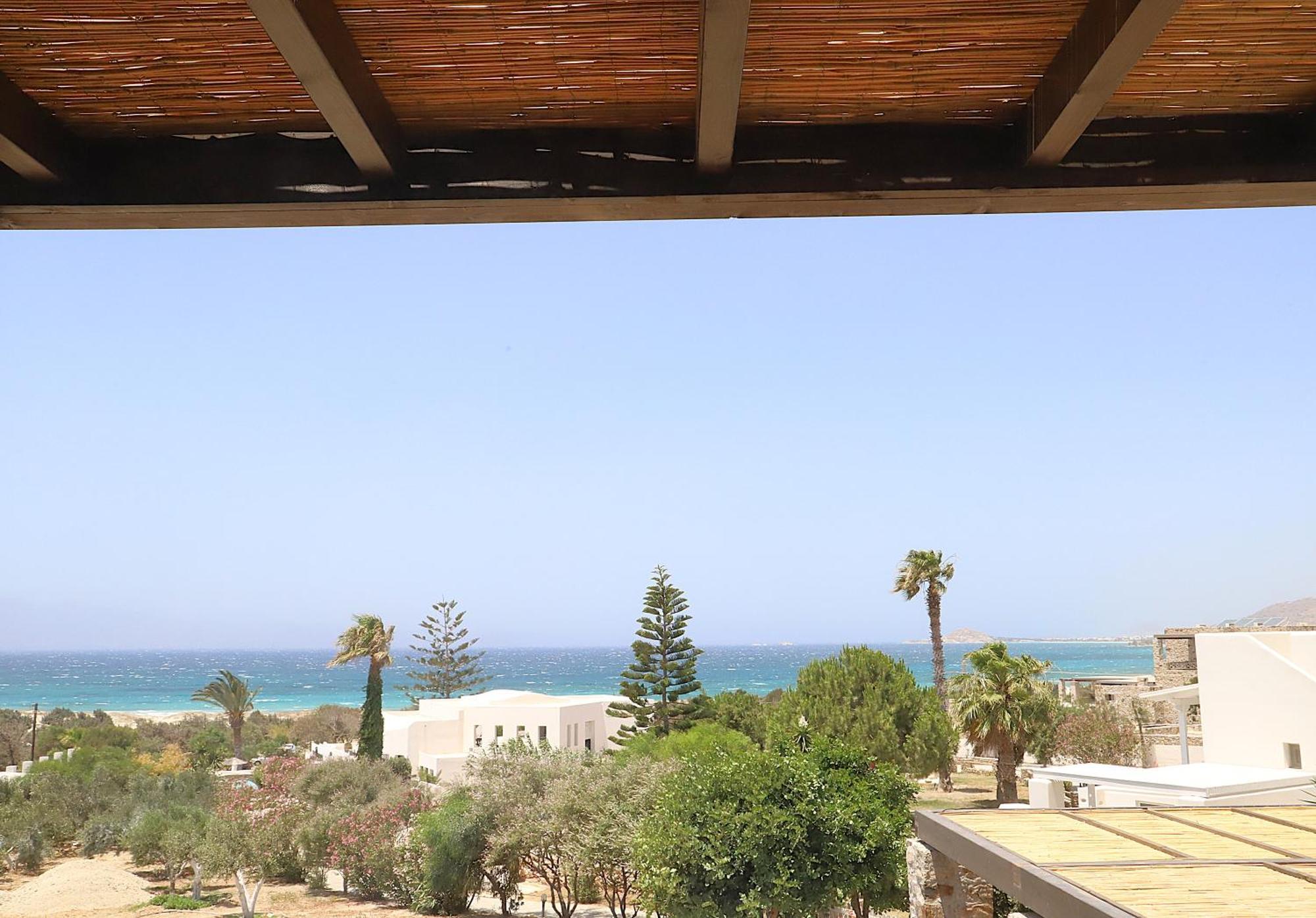Villa Faros Small Hotel & Restaurant Aliko Beach Dış mekan fotoğraf